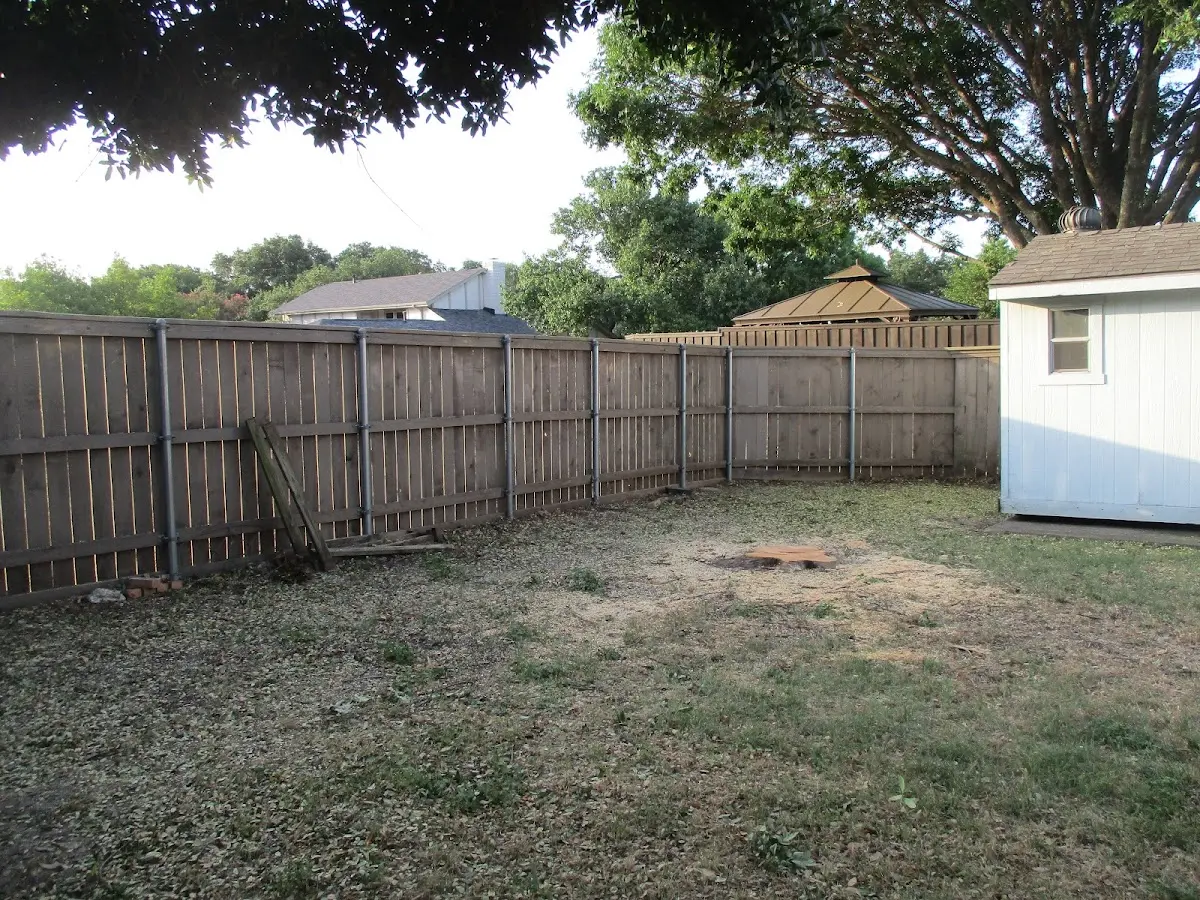 Cleared yard after professional tree removal in Greeneville